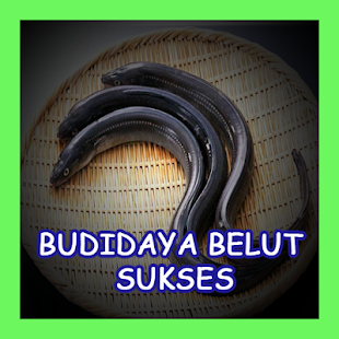 How to install Panduan Budidaya Belut Sukses 1.0 apk for bluestacks