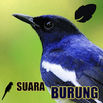 Koleksi Suara Burung Apk