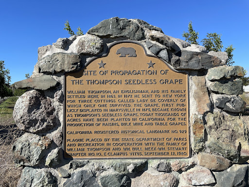 Site of Propagation of the Thompson Seedless GrapeWilliam Thompson, an Englishman, and his family settled here in 1863. In 1872 he sent to New York for three cuttings called Lady de Coverly of...