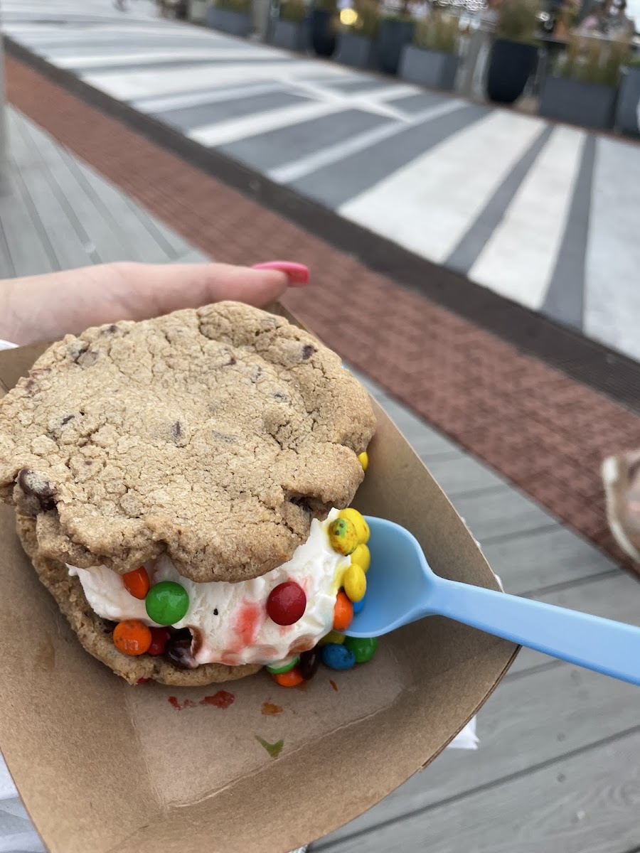 Gluten Free/Vegan Chocolate Chip Cookie with GF vanilla ice cream and mini M&M's