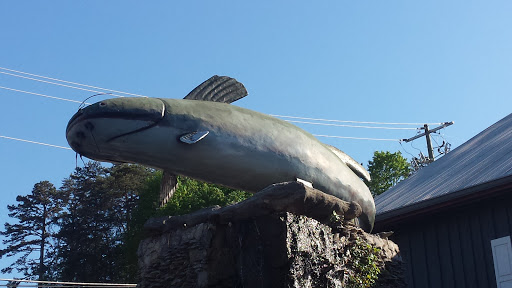 Giant Catfish
