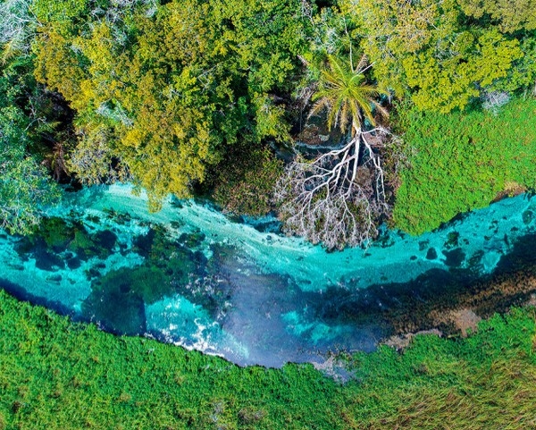 Brazil's majestic Sucuri River.