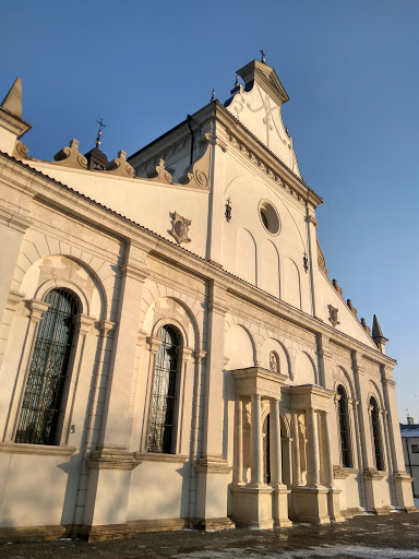 Katedra w Zamosciu