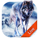 ダウンロード Ice Wolf Live Wallpaper をインストールする 最新 APK ダウンローダ
