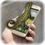Lizard in phone Apk