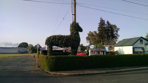 Horse Hedge