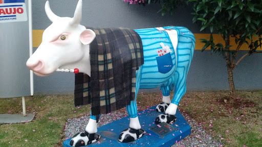 Vaca Da Araújo