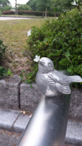 広島県立みよし公園 古墳道入口の小鳥達