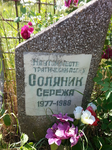 Памяти Соляник Сергея