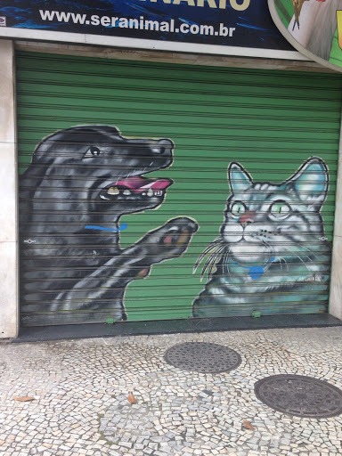 O Cão Bobão E O Gato Assustado