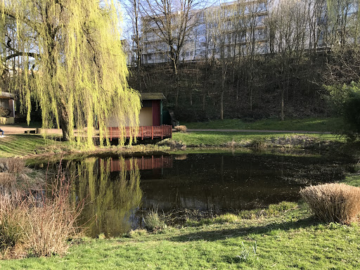 Teich in Dudweiler Stadtpark