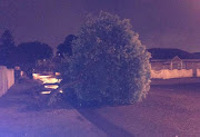 Several trees uprooted in Cape Town