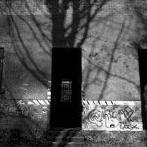 shadow tree grafitti