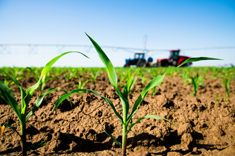 Technological improvements that can help farmers continue to produce crops despite the immense pressures from a changing climate must be implemented wherever possible. Picture: 123RF/grigorenko