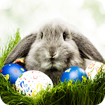 Easter Wallpapers Apk