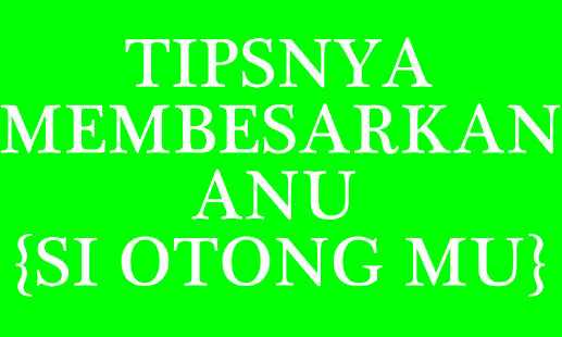 How to get TIPSNYA MEMBESARKAN ANU 1.0 apk for android