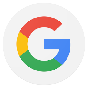 Google Assistant / Google Search 