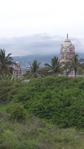 Temple Tamioul : Narassinga Perournal