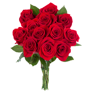 Saludos en Rosas.apk 1.5