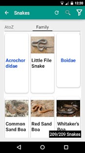 How to install IndianSnakes lastet apk for android