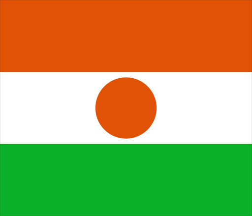 Niger flag. File photo