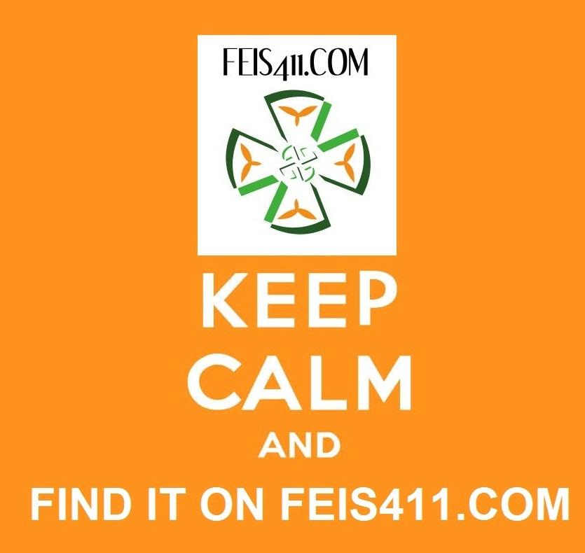 Android application Feis411 screenshort
