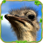 Furious Ostrich Simulator Apk