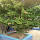 Tree Tour Colegio Arubano
