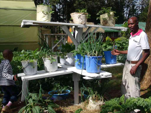 A farmer and his son admiring a hanging garden at Mt Kenya Nanyuki ASK show on Sunday. The hanging garden can be used in small plots to grow crops and sustain families in terms of food.