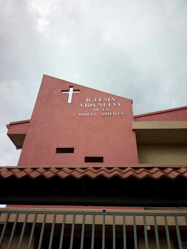 Iglesia Vida Nueva 