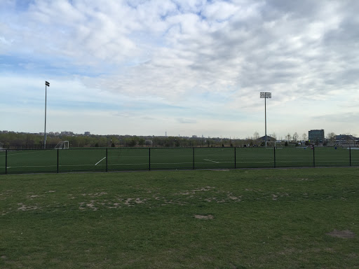 Soccer Field 