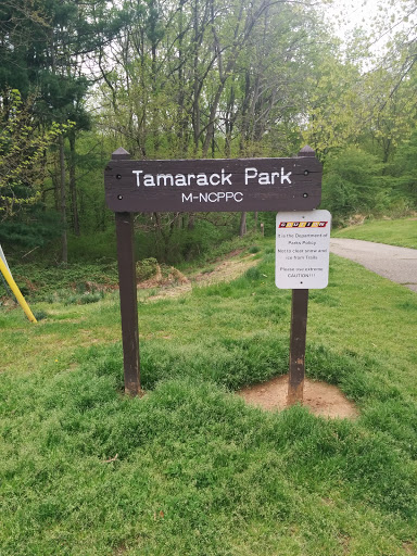 Tamarack Park