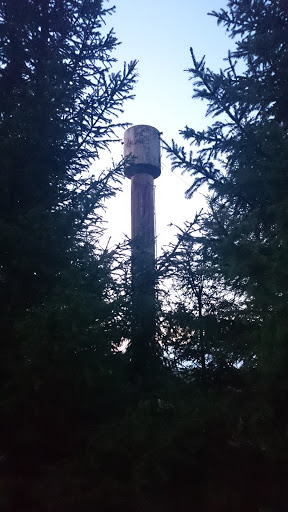 Водонапорная башня в лесу