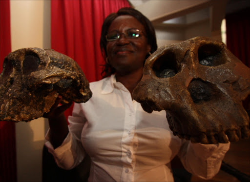 FOUND: National Museums of Kenya Senior Research Scientist Dr Emma Mbua with fossils of Paranthropus Boisei. Photo/ Jack Owuor