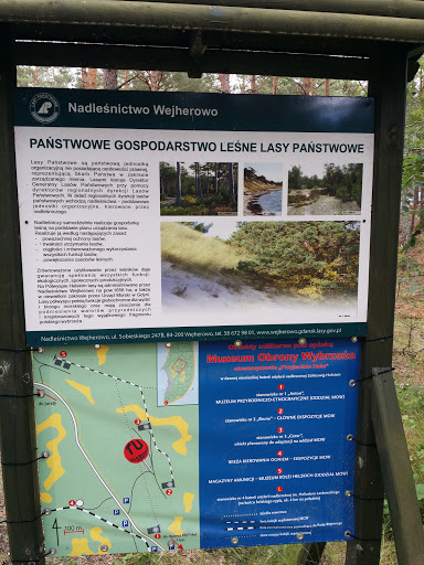 Lasy Państwowe 