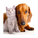 Dog and Cat pictures Apk