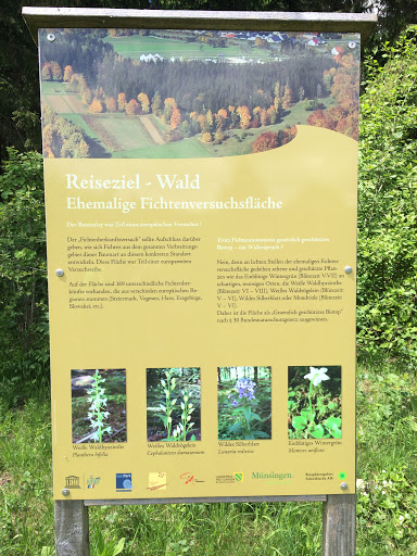 Beutenlay Reiseziel Fichtenwald 