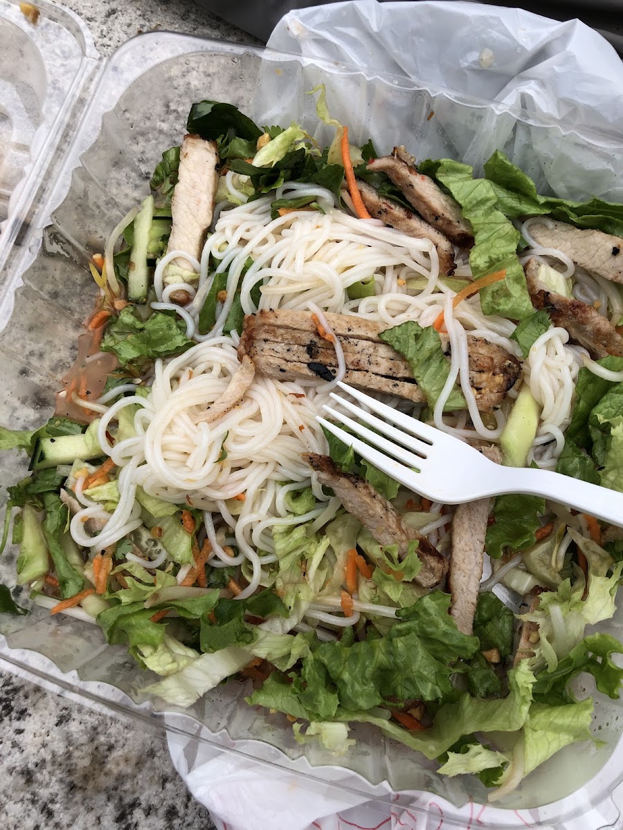 Got the B1 (Vietnamese noodle salad with pork) as well as the shrimp spring rolls and it was delicious. Did not get sick.