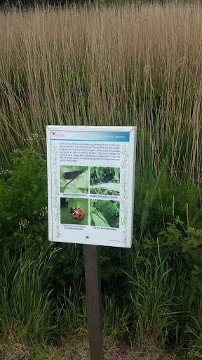 Nature Reserve Sign - Insects