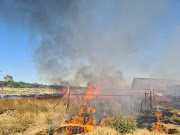 Agri Hertzogville chairperson Gys Olivier said the runaway fires destroyed an estimated 100,000 hectares of farm land.
