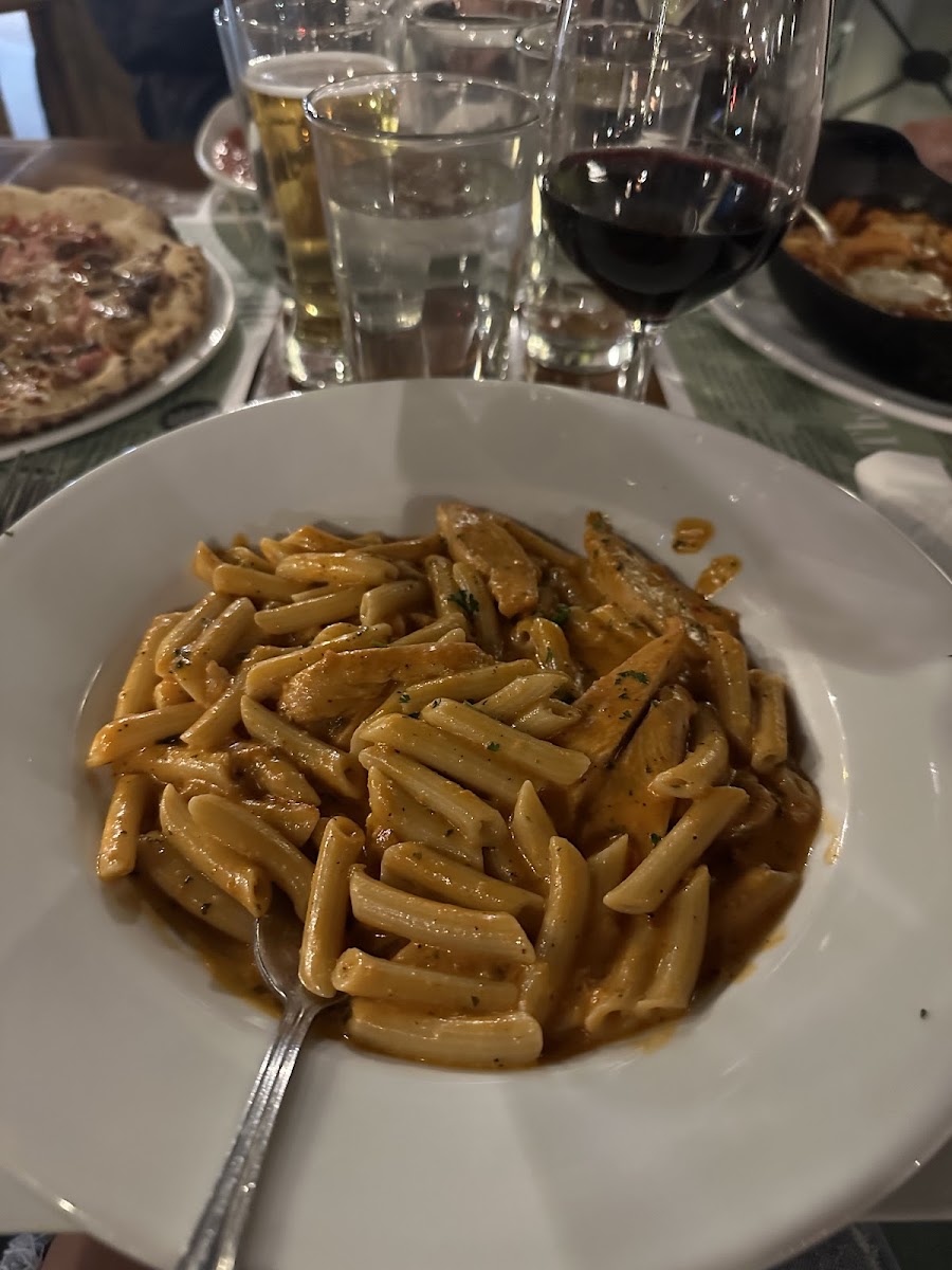 Penne pasta with chicken and vodka sauce