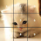 Download Cat Puzzle For PC Windows and Mac 1.2