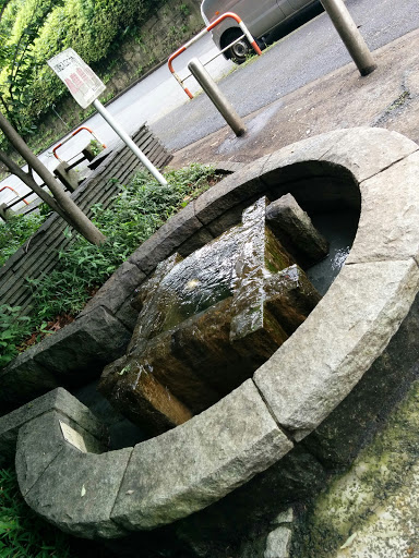 菊名池公園 湧水