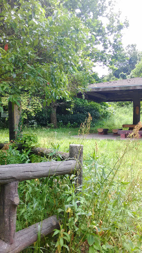 森林公園中央広場