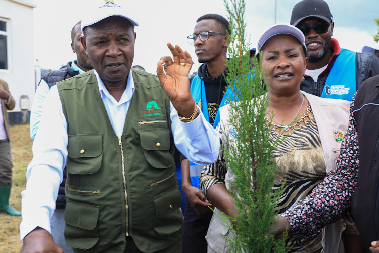 Treasury Cabinet Secretary Njuguna Ndung'u with Machakos Governor Wavinya Ndeti during the national tree planting exercise on May 10, 2024.