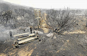 AFRICA BURNT: The smouldering remains after fire swept along Chapman's Peak Drive yesterday