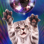 Disco Cats Dancers Apk