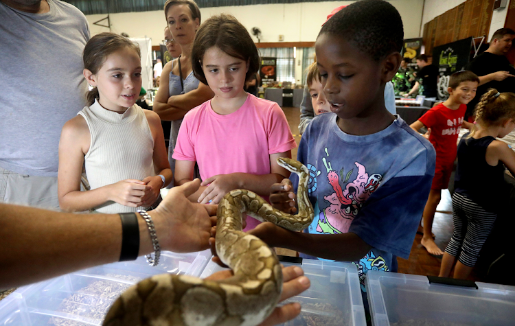 Excited children taking turns at holding the snakes on display.
