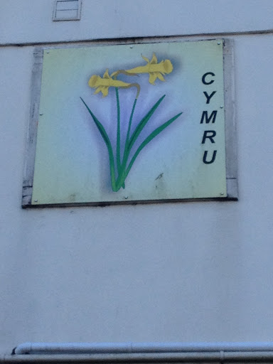 Daffodil Art