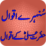 Hazrat ALI Kay Aqwal Apk